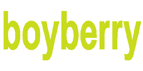 boyberry giphyupload boyberry boyberry logo Sticker