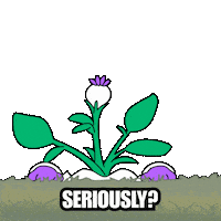 Angry For Real Sticker by Magic Eden