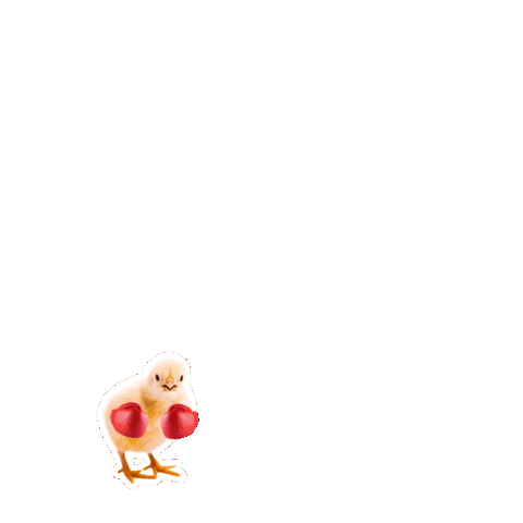 ADMNutricaoAnimal giphyupload admnutricaoanimal nutricaoanimal admnutri Sticker