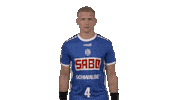 Handball-Bundesliga Sport Sticker by LIQUI MOLY HBL