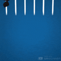 Goal Tuurlijk GIF by VV Schalkwijk