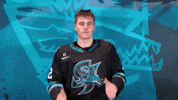 San Jose Yes GIF by San Jose Barracuda