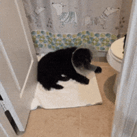Dog Casper GIF