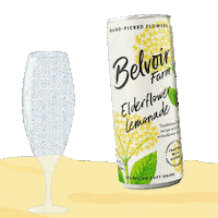 Summer Sipping Sticker by Belvoir Lemonades & Cordials