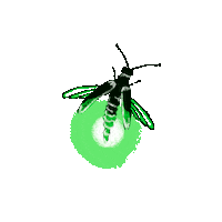 firefly luz Sticker by hduartesn