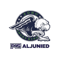 Angry Bird Sticker by F45 Training Aljunied