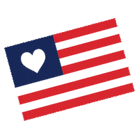 United States Of America Usa Sticker by Harveys Seatbelt Bag