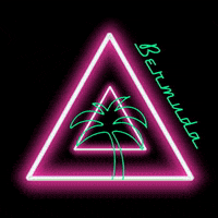BermudaPEC 90s 80s neon restaurant GIF