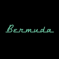 BermudaPEC 90s 80s neon restaurant GIF