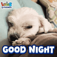 Good Night Sleeping GIF by Lucas and Friends by RV AppStudios