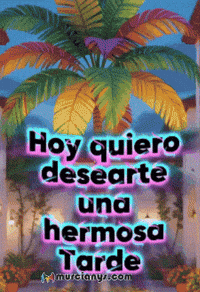 Amigos Mirar GIF by Murcianys LLC
