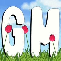 Good Morning Penguin GIF by Pudgy Penguins