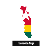 Flag Bandera Sticker by Formación Ninja