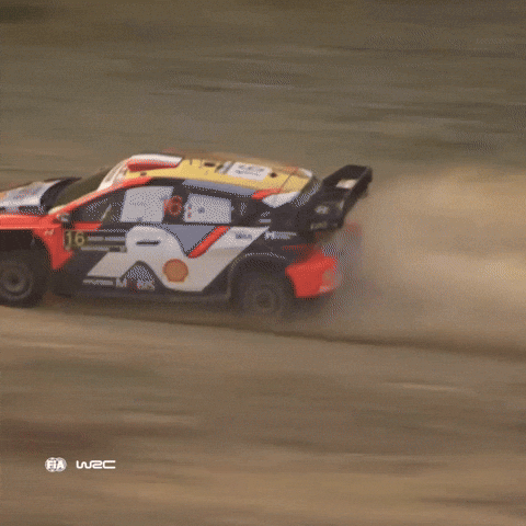 Rallying Saudi Arabia GIF by FIA World Rally Championship