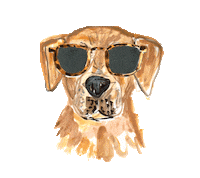 Dog Sunglasses Sticker