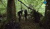 Fun Camping GIF by MolaTV