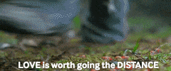 romance love GIF by Blue Fox Entertainment