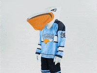 PelicansFi hockey oh no mascot ice hockey GIF