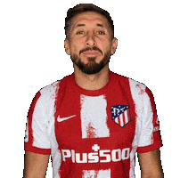 Champions League Football Sticker by Atlético de Madrid