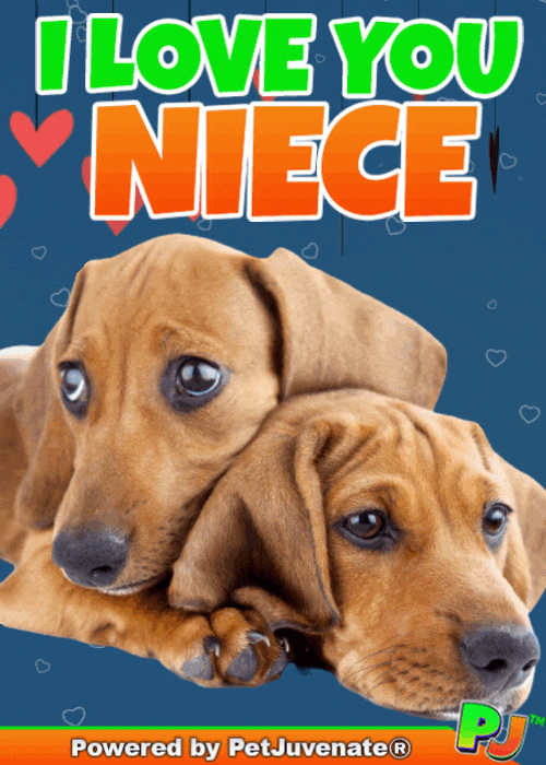 PetJuvenate petjuvenate henlo hooman fren love rescue dogs treatos and woofer for pupper GIF