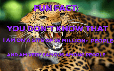 shawnfff giphygifmaker giphygifmakermobile GIF