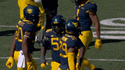 College Football GIF by WVU Sports