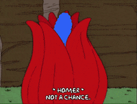 homer simpson GIF
