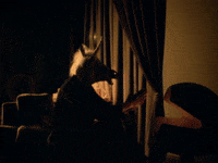 SofiaInternationalFilmFestival fire unicorn 25 fireplace GIF