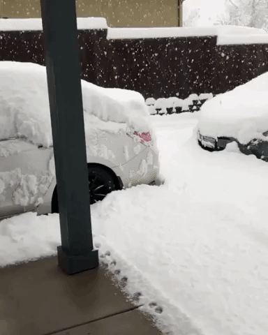 Heavy Snowfall Blankets Oregon Neighborhood