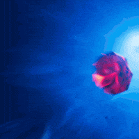 New Movie Hammer GIF by Sonic The Hedgehog