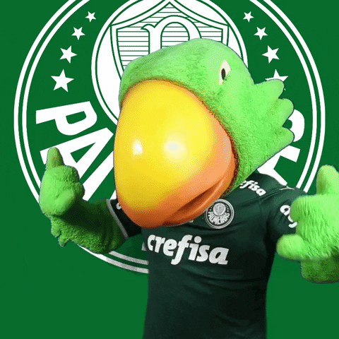 Palmeiras giphyupload soccer feliz futebol GIF