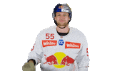 Beer Cheers Sticker by EC Red Bull Salzburg