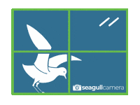 Bird Seagull Sticker by ABCLegal