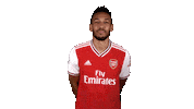 Premier League Football Sticker by Arsenal