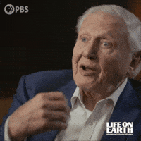 Pondering David Attenborough GIF by PBS