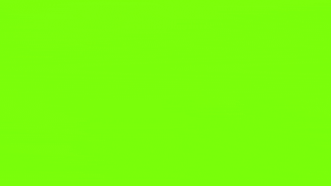 DontSpamMe98768 giphygifmaker wrong survey says GIF