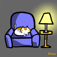Cat GIF by Poku Meow