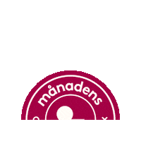 SmartaSaker smartasaker månadens innovatör Sticker