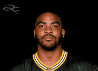 Green Bay Packers GIF by Respective
