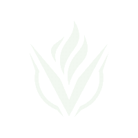 Logo Sticker by Vigor Labs