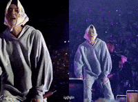 Concert Jin GIF