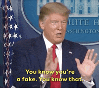Donald Trump GIF