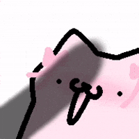 Cat Kitty GIF