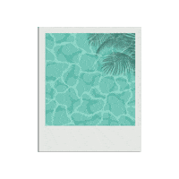 Summer Water Sticker by elicoelhodesign