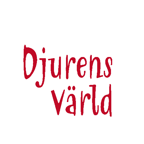 Snowflakes Sticker by Djurens Värld Halmstad