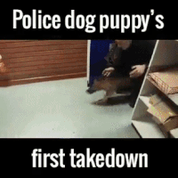 dogs police GIF