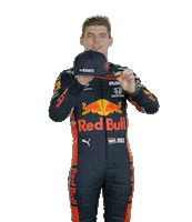Ver Red Bull Sticker by Oracle Red Bull Racing
