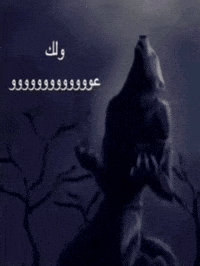 Alpha Wolf GIF