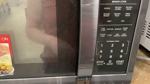 marrsupial123 giphyupload GIF
