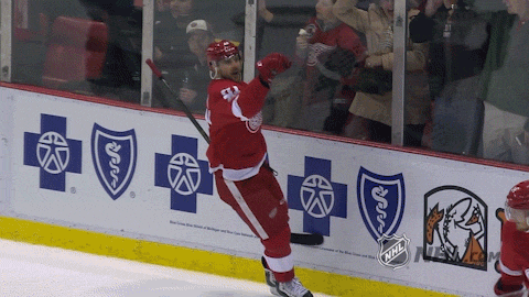 detroit red wings goal celebration GIF by NHL